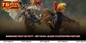 Barehand Fight on TG777