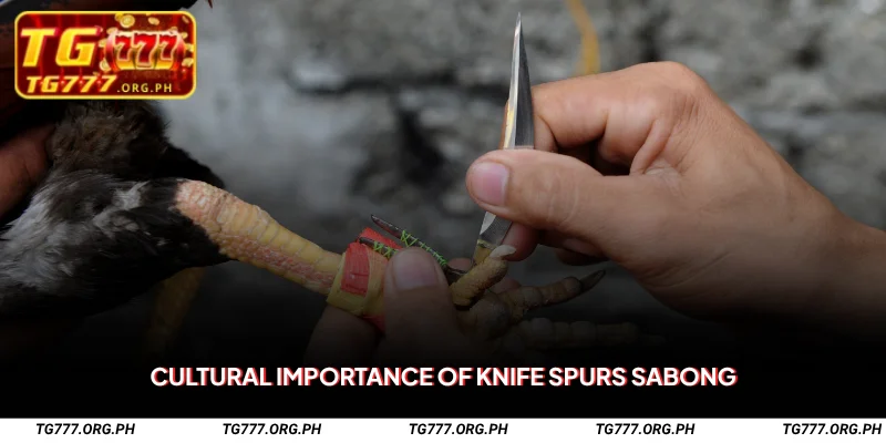 Sabong with Knife Spurs – Strategy-Based Live Fights on TG777 3 Cultural Importance of Knife Spurs Sabong
