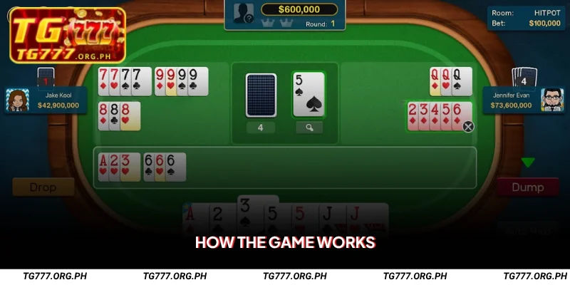 How the Game Works
