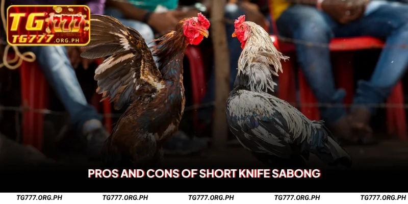 Pros and Cons of Short Knife Sabong