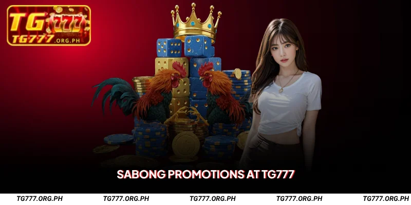 TG777 Sabong – Bet Live on Legal Fights & Win Big 3 Sabong Promotions at TG777