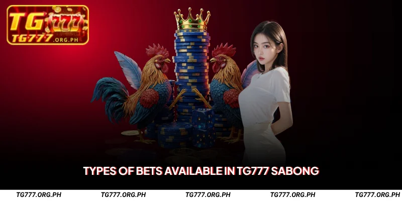 TG777 Sabong – Bet Live on Legal Fights & Win Big 2 Types of Bets Available in TG777 Sabong
